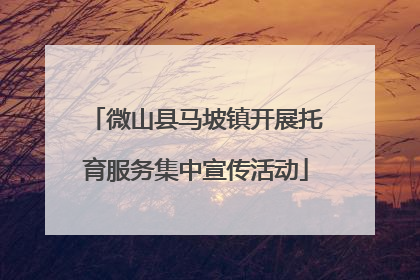 微山县马坡镇开展托育服务集中宣传活动