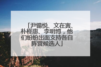 尹锡悦、文在寅、朴槿惠、李明博，他们纷纷出面支持各自阵营候选人