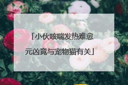 小伙咳喘发热难愈 元凶竟与宠物猫有关