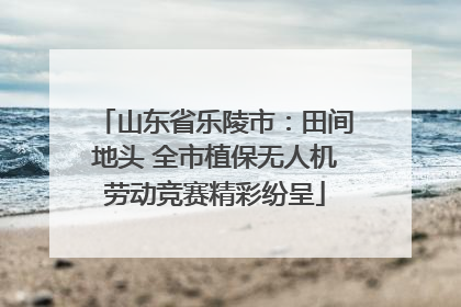 山东省乐陵市：田间地头 全市植保无人机劳动竞赛精彩纷呈