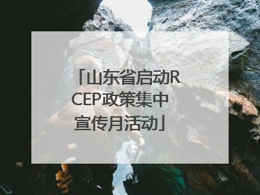 山东省启动RCEP政策集中宣传月活动