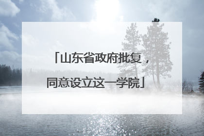 山东省政府批复，同意设立这一学院