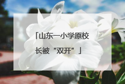 山东一小学原校长被“双开”
