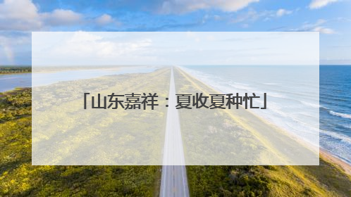山东嘉祥：夏收夏种忙