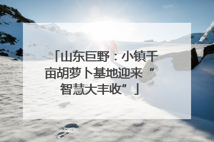 山东巨野：小镇千亩胡萝卜基地迎来“智慧大丰收”