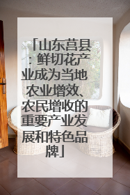 山东莒县：鲜切花产业成为当地农业增效、农民增收的重要产业发展和特色品牌