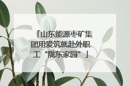 山东能源枣矿集团用爱筑就赴外职工“陇东家园”