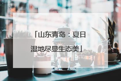 山东青岛：夏日湿地尽显生态美