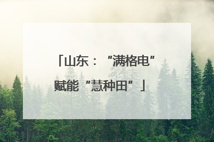 山东：“满格电”赋能“慧种田”