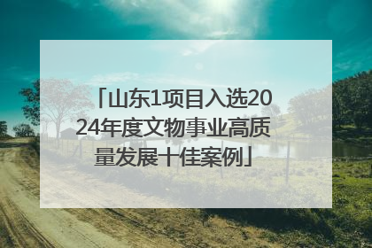 山东1项目入选2024年度文物事业高质量发展十佳案例