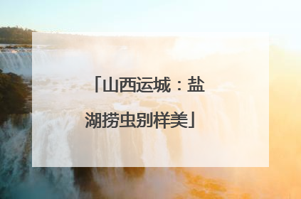 山西运城：盐湖捞虫别样美