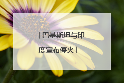 巴基斯坦与印度宣布停火