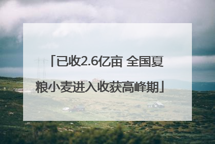已收2.6亿亩 全国夏粮小麦进入收获高峰期