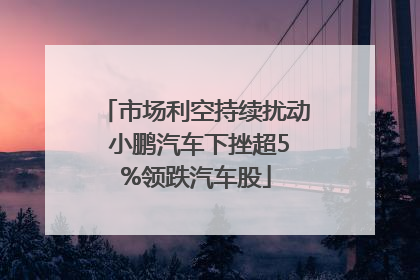 市场利空持续扰动 小鹏汽车下挫超5%领跌汽车股