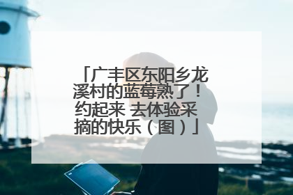广丰区东阳乡龙溪村的蓝莓熟了！约起来 去体验采摘的快乐（图）