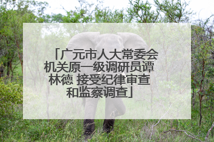 广元市人大常委会机关原一级调研员谭林德 接受纪律审查和监察调查