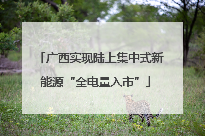 广西实现陆上集中式新能源“全电量入市”