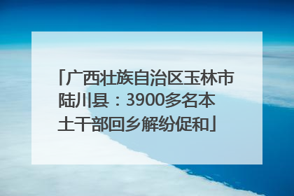 广西壮族自治区玉林市陆川县：3900多名本土干部回乡解纷促和
