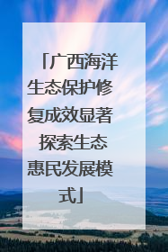 广西海洋生态保护修复成效显著 探索生态惠民发展模式