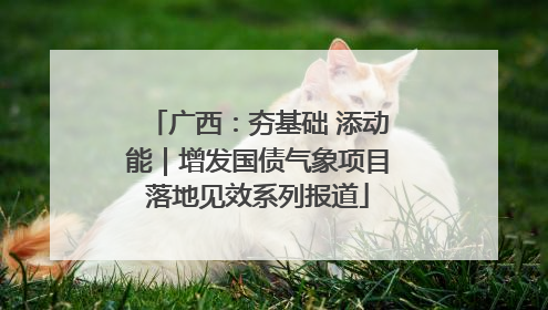 广西：夯基础 添动能｜增发国债气象项目落地见效系列报道