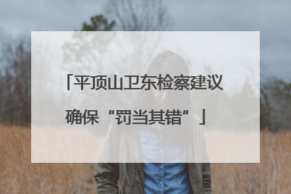 平顶山卫东检察建议确保“罚当其错”