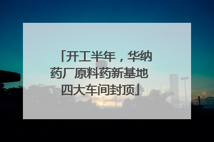 开工半年，华纳药厂原料药新基地四大车间封顶
