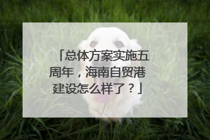 总体方案实施五周年，海南自贸港建设怎么样了？