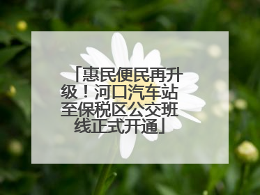 惠民便民再升级！河口汽车站至保税区公交班线正式开通