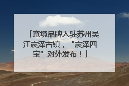 意境品牌入驻苏州吴江震泽古镇，“震泽四宝”对外发布！
