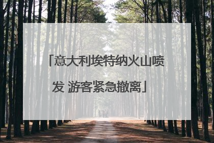 意大利埃特纳火山喷发 游客紧急撤离