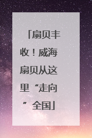 扇贝丰收！威海扇贝从这里“走向”全国