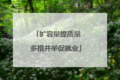 扩容量提质量 多措并举促就业