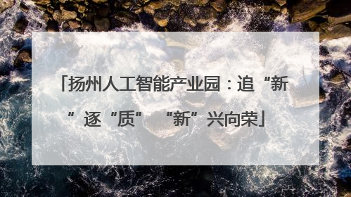 扬州人工智能产业园：追“新”逐“质” “新”兴向荣