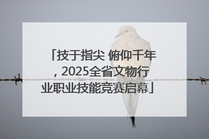 技于指尖 俯仰千年，2025全省文物行业职业技能竞赛启幕