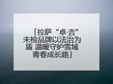 拉萨“卓·吉”未检品牌以法治为盾 温暖守护雪域青春成长路