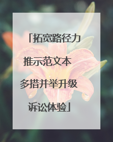 拓宽路径力推示范文本 多措并举升级诉讼体验