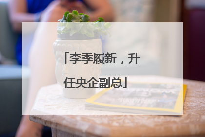 李季履新，升任央企副总