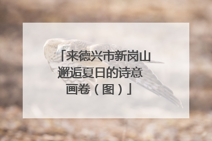 来德兴市新岗山 邂逅夏日的诗意画卷（图）