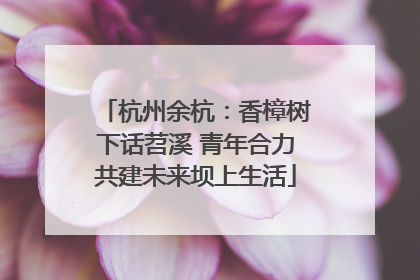 杭州余杭：香樟树下话苕溪 青年合力共建未来坝上生活