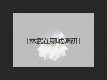 林武在聊城调研