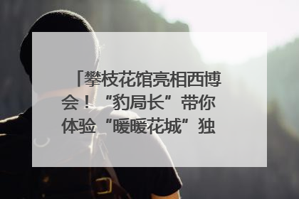 攀枝花馆亮相西博会！“豹局长”带你体验“暖暖花城”独特魅力｜西博视界