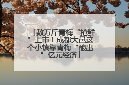 数万斤青梅“抢鲜”上市！成都大邑这个小镇靠青梅“酿出”亿元经济