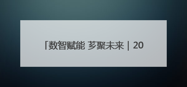 数智赋能 芗聚未来｜2025年漳州市芗城区招商引资推介暨“一县一桌菜·语堂家宴”发布会成功举办