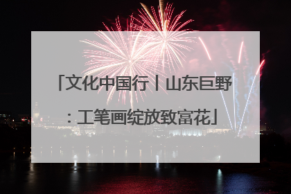 文化中国行丨山东巨野：工笔画绽放致富花