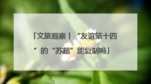 文旅观察丨“友谊第十四”的“苏超”能复制吗