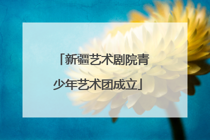 新疆艺术剧院青少年艺术团成立