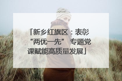 新乡红旗区：表彰 “两优一先” 专题党课赋能高质量发展