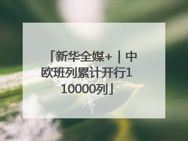 新华全媒+｜中欧班列累计开行110000列