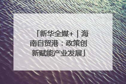 新华全媒+｜海南自贸港：政策创新赋能产业发展