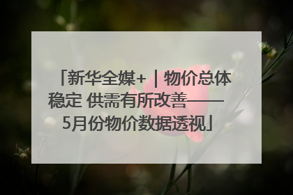 新华全媒+｜物价总体稳定 供需有所改善——5月份物价数据透视